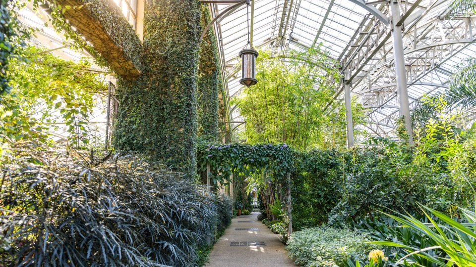East Conservatory Longwood Gardens